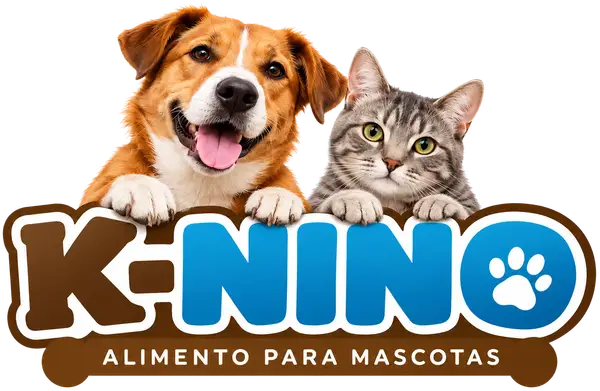 K-NINO, ir al inicio